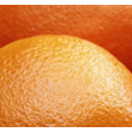 Kışın Sultanı Turunçgiller