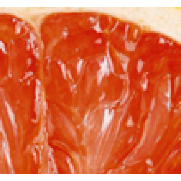 Greyfurtun Alametifarikaları