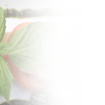 Domates Fesleğen Soslu Salata